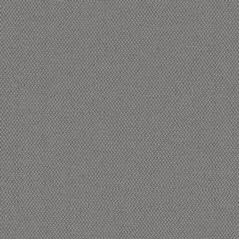 camira-era-cse11.jpg